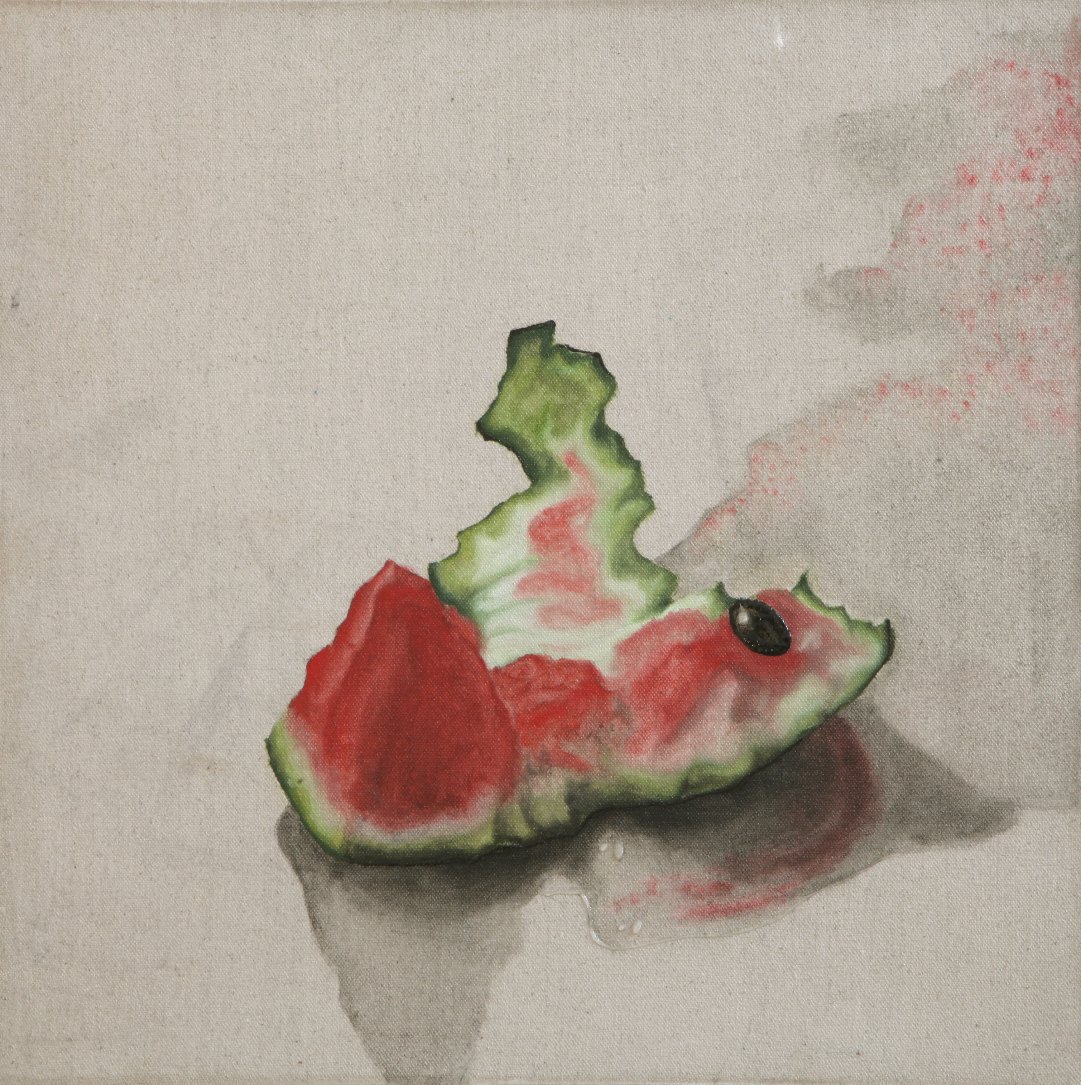 Turtle Leftovers, oil on canvas, 50 x 50 cm